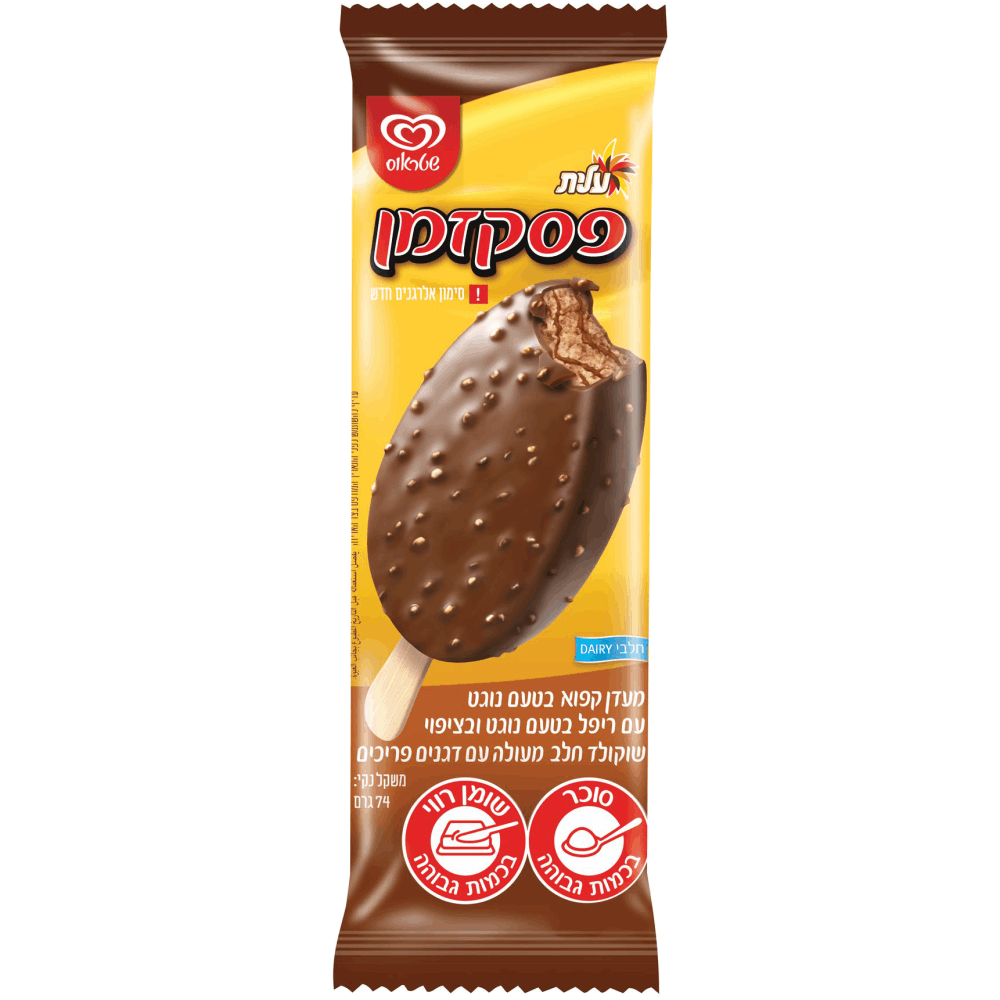 שלגון פסק זמן